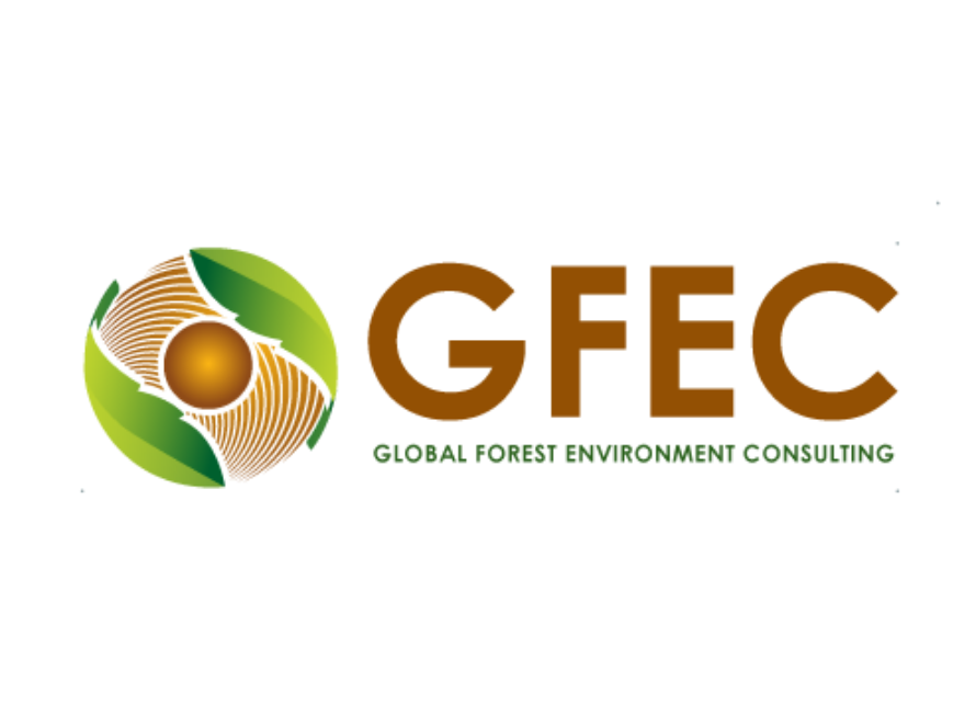 GFEC